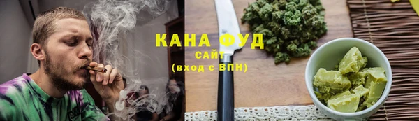 спиды Ельня