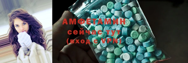 молекула духа Новозыбков