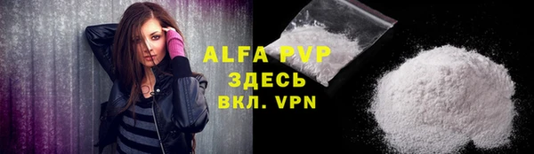 молекула духа Новозыбков