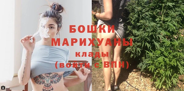прущая мука Нея