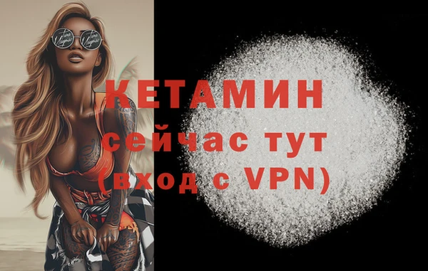 молекула духа Новозыбков