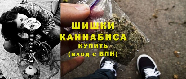 молекула духа Новозыбков