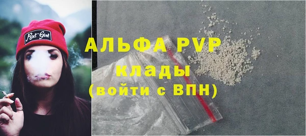 молекула духа Новозыбков