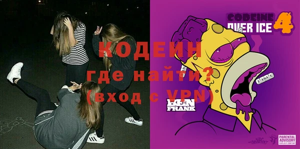 молекула духа Новозыбков