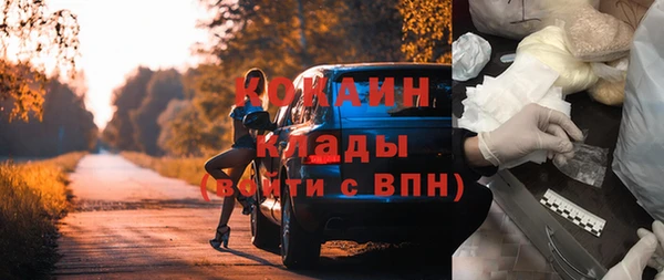 молекула духа Новозыбков