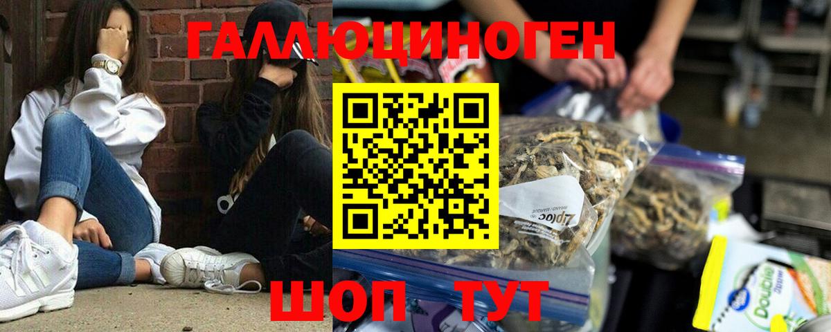 Галлюциногенные грибы Cubensis Котельники